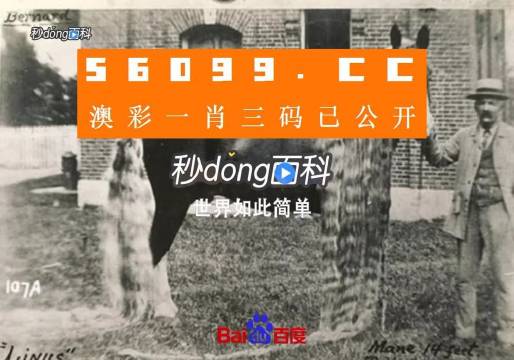心水奧秘（或探索解析）