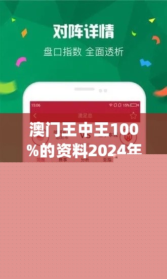 王中王網(wǎng)站一肖，探索與SEO優(yōu)化策略，王中王網(wǎng)站一肖，深度探索與SEO優(yōu)化策略實踐