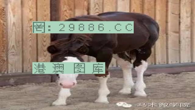 揭秘446999一肖中特馬之秘密，掌握中獎玄機(jī)！，揭秘特馬中獎玄機(jī)，446999一肖中的秘密大揭秘！