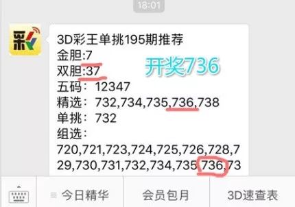 王中王一肖中特4993，深度解析與探索，王中王一肖中特4993深度解析與探索報(bào)告