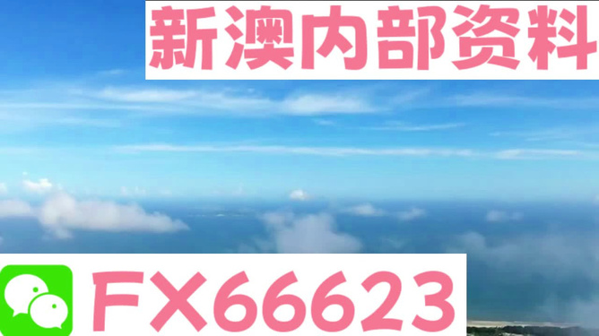 新澳內部免費爆料，深度探索未知的秘密，新澳內部揭秘，深度探索未知的秘密
