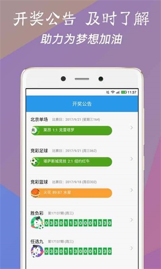 澳門今一必中一肖一碼一肖，揭秘彩票背后的秘密與策略，揭秘彩票背后的秘密與策略，澳門今一必中一肖一碼一肖探秘