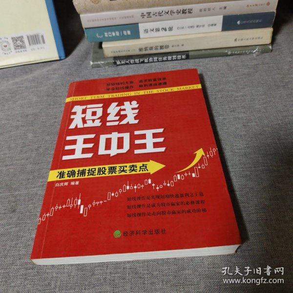 王中王平特一肖中的奧秘與探索，王中王平特一肖的奧秘與探索之旅