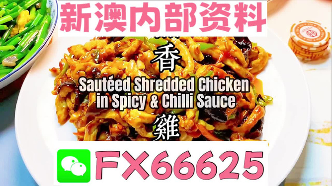 新奧天天精準(zhǔn)資料大全，全方位解讀與應(yīng)用指南，新奧天天精準(zhǔn)資料大全，全方位解讀與應(yīng)用指南手冊(cè)