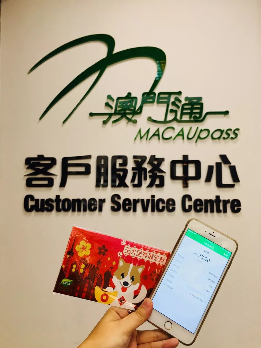 澳門正版資料大全資料生肖卡，探索與解析，澳門正版資料大全生肖卡解析與探索