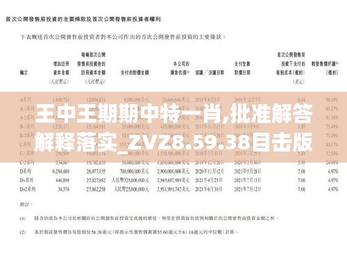 王中王一肖期期中，揭秘背后的秘密與策略，揭秘王中王一肖期期中的秘密策略與成功之道