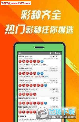 揭秘660678C0m王中王三肖一碼，真相與奧秘，揭秘，王中王三肖一碼真相與奧秘探索