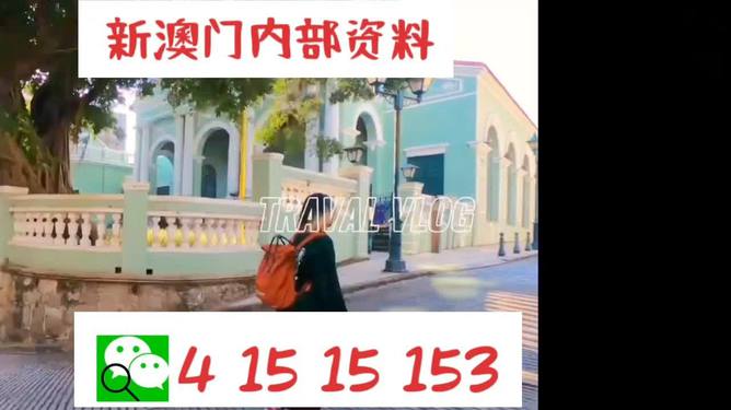 澳門(mén)944資料詳解，探索其背后的故事與重要性，澳門(mén)944資料深度解析，背后的故事與重要性探索