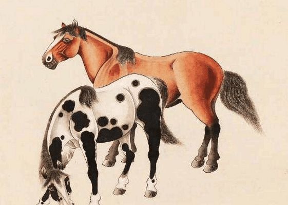 馬一王中王特平一肖圖，深度解析與SEO優(yōu)化策略，深度解析馬一王中王特平肖圖，SEO優(yōu)化策略探討