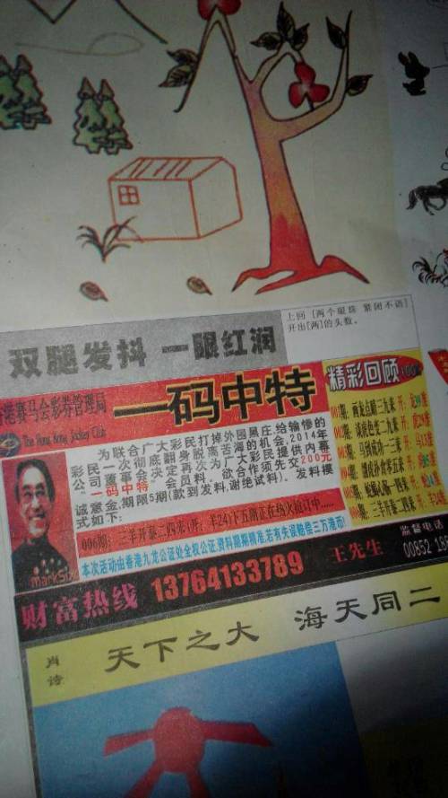 王中王贏錢詩猜一肖，揭秘背后的奧秘與策略，揭秘王中王贏錢詩背后的生肖奧秘與策略揭秘