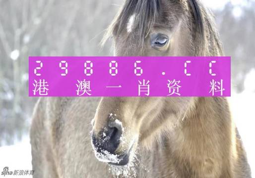 澳門(mén)一肖一碼100%準(zhǔn)確預(yù)測(cè)——揭秘彩票背后的秘密，澳門(mén)彩票預(yù)測(cè)揭秘，一肖一碼100%準(zhǔn)確預(yù)測(cè)背后的秘密