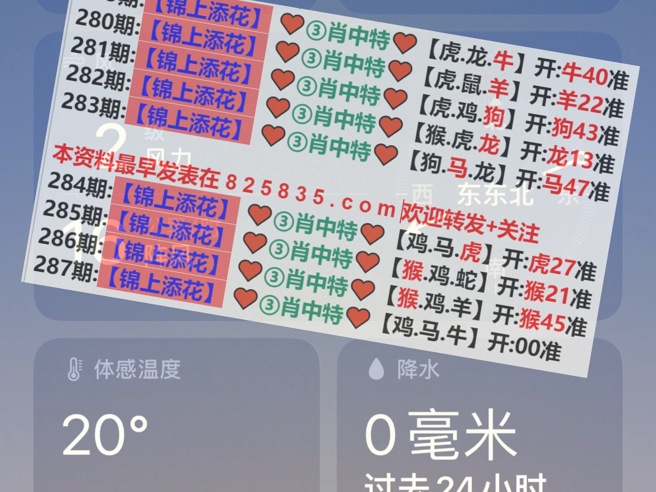 預測背后的秘密揭秘