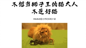 王中王013期指一生肖——探尋背后的秘密與奧秘，王中王013期生肖揭秘，探尋背后的秘密與奧秘之旅