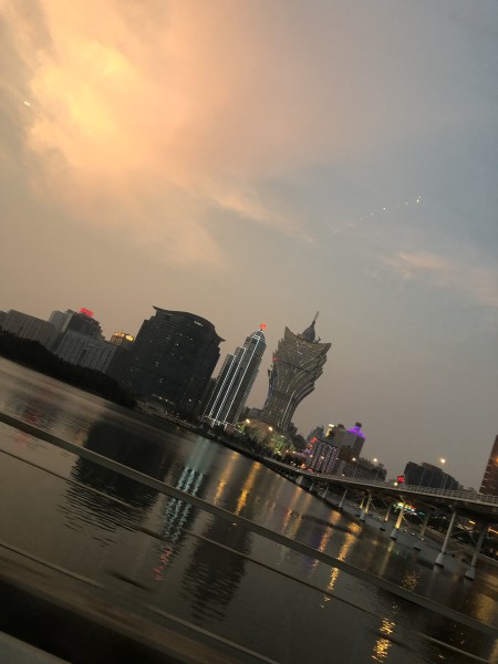 澳門今晚必開一肖一特，深度解析與預測，澳門今晚生肖特碼深度解析與預測，一肖一特必開趨勢探討