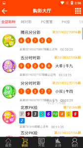 探索域名www王中王平特一肖c.m背后的故事，揭秘域名www王中王平特一肖c.m背后的故事