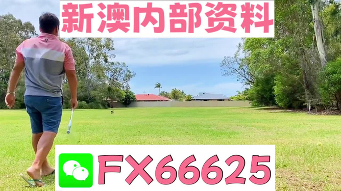 王中王兩肖一碼，揭秘背后的奧秘，王中王兩肖一碼揭秘，背后的秘密與奧秘