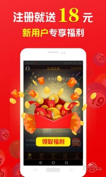 王中王一肖中打一，深度解析一種獨特的文化現(xiàn)象，王中王一肖中打一，獨特文化現(xiàn)象的深度探究