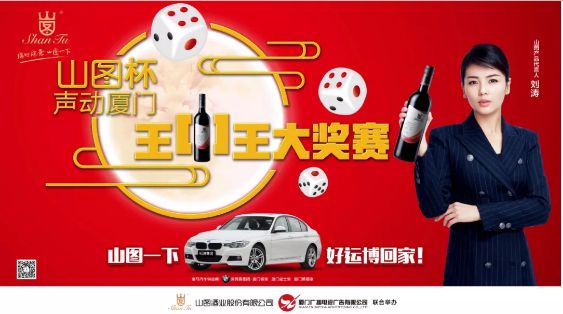 揭秘王中王背后的故事，從肖中的視角看其在SEO領(lǐng)域的輝煌成就，肖中視角下的王中王，SEO領(lǐng)域的輝煌成就揭秘