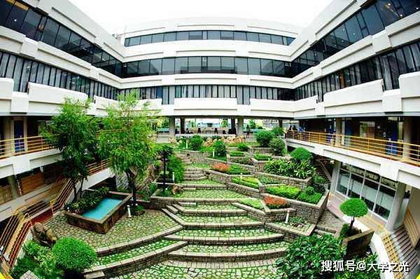 新澳芳草，最精準(zhǔn)的探尋與體驗(yàn)，新澳芳草，精準(zhǔn)探尋與獨(dú)特體驗(yàn)