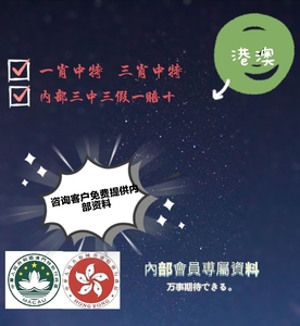 揭秘香港王中王，探尋肖中特背后的秘密，揭秘香港王中王背后的秘密與肖中特真相探索