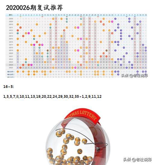 王中王026期指一生肖，深度解讀與SEO優(yōu)化策略，王中王026期生肖深度解讀與SEO優(yōu)化策略全解析