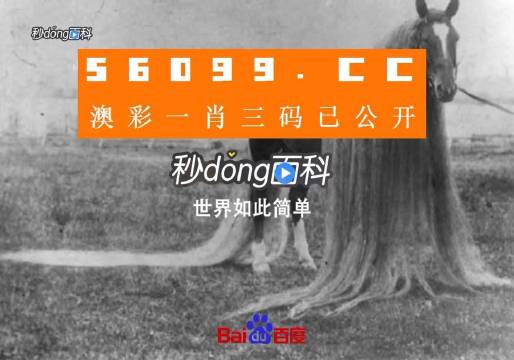 澳門一肖一碼一必中一肖舟山，揭秘彩票秘密，掌握幸運(yùn)之鑰，揭秘彩票秘密，澳門一肖一碼必中秘籍與幸運(yùn)之鑰在舟山開啟