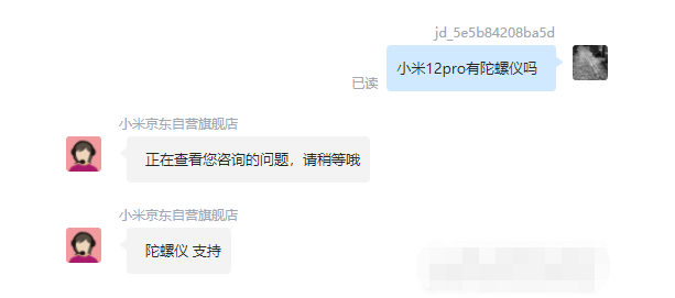 王中王一肖碼，探索關鍵詞背后的奧秘，王中王一肖碼，揭秘關鍵詞背后的奧秘