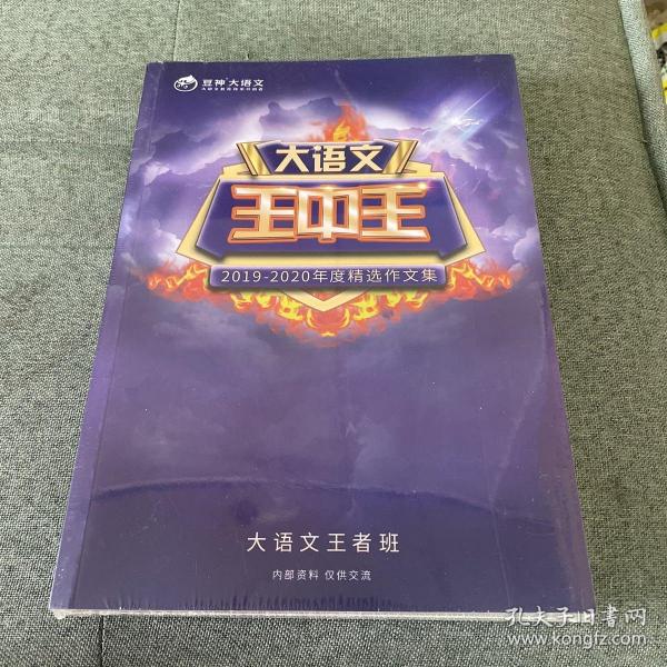 2019王中王資料解析，一肖中qr的秘密，揭秘王中王資料解析與一肖中qr的秘密，解密背后的真相