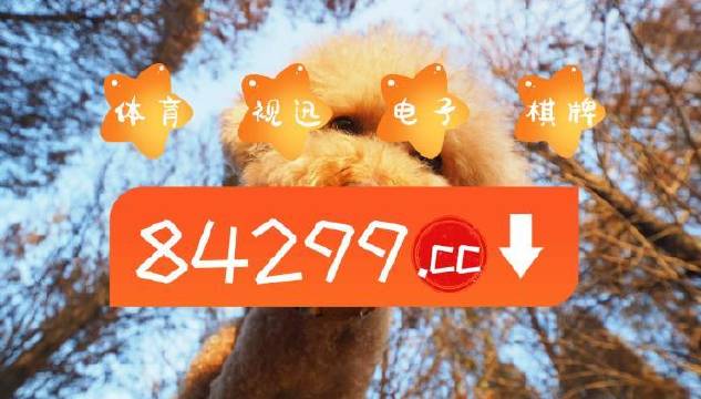 今期必中一肖一碼白小姐，揭秘彩票背后的秘密與策略，揭秘彩票背后的秘密與策略，白小姐今期必中一肖一碼解析
