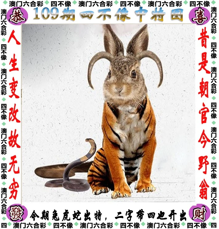 四不像王中王資料一肖，深度解析與探索，四不像王中王資料一肖，深度解析與探索揭秘
