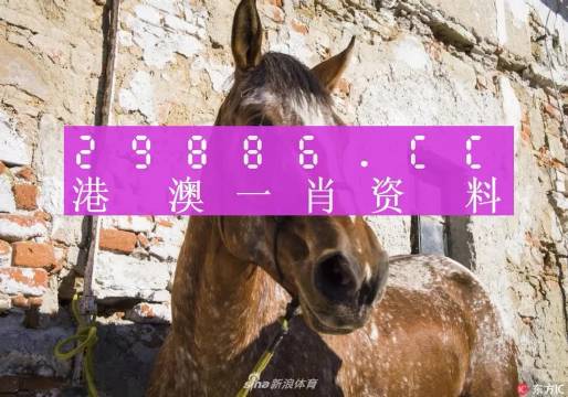 王中王資料一門肖中，深度解析與探索，王中王資料一門肖詳解，深度解析與探索
