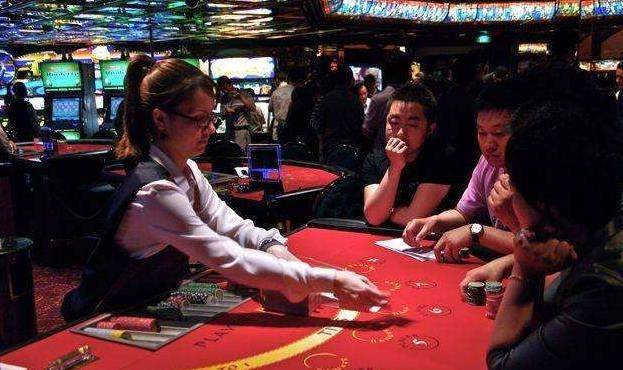 澳門金牛王中王一肖，探索背后的神秘與魅力，澳門金牛王中王一肖，神秘魅力背后的探索