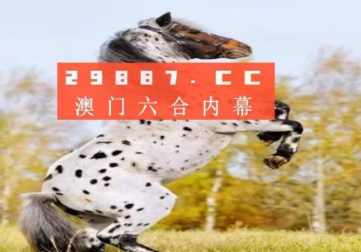 關(guān)于白小姐三碼三期必出一期嗎的真相探討，白小姐三碼三期必出一期真相揭秘與探討
