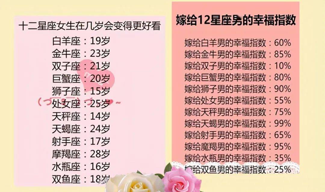 王中王十二生肖所屬之肖解析，王中王十二生肖解析揭秘