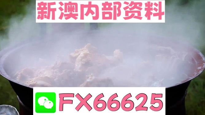 新澳全年免費(fèi)資料大全，一站式獲取優(yōu)質(zhì)資源指南，新澳全年優(yōu)質(zhì)資源免費(fèi)獲取指南