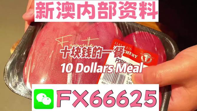 揭秘2025新奧精準正版資料，全方位解讀與SEO優(yōu)化策略，揭秘2025新奧精準正版資料，全方位解讀與SEO策略優(yōu)化指南