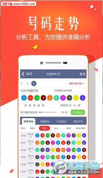 王中王四肖選一，揭秘選擇與優(yōu)化策略，王中王四肖選一，選擇與優(yōu)化策略的揭秘