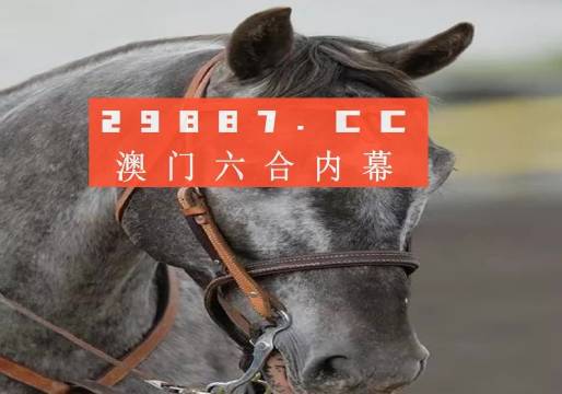 澳門一一碼一特一中準(zhǔn)選今晚，探索真實有效的選擇與策略，澳門今晚一特一中準(zhǔn)選碼，真實有效的選擇與策略探索