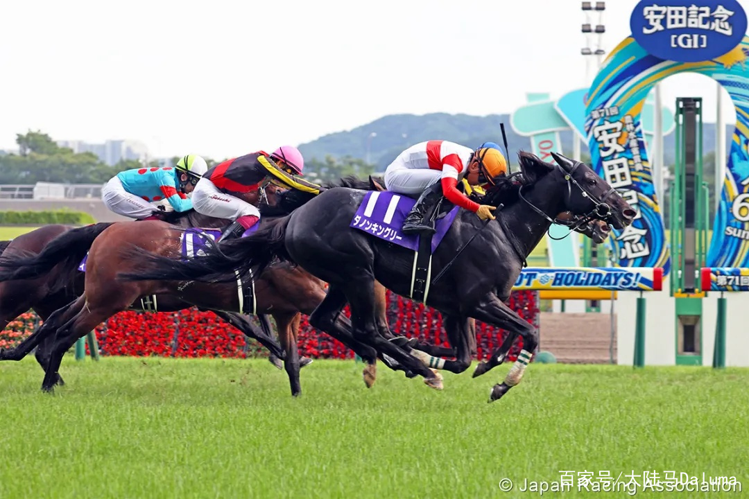 香港王中王與一馬中特肖的獨(dú)特魅力，深度解析與探索，香港王中王與一馬中特肖的獨(dú)特魅力，深度探索與解析