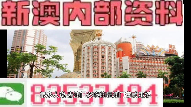 新澳門三中三碼精準(zhǔn)預(yù)測，揭秘成功概率背后的秘密與策略（附詳細(xì)解析），揭秘新澳門三中三碼成功預(yù)測背后的秘密與策略解析
