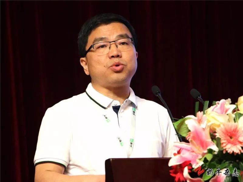 王中王一平特肖，揭秘第100期的秘密與策略，揭秘第100期秘密與策略，王中王一平特肖獨(dú)家解析