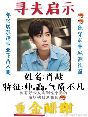 一肖一碼一一肖一子善，探尋命運(yùn)密碼與智慧之光的完美結(jié)合，命運(yùn)密碼與智慧之光，一肖一碼一一肖一子善的探尋