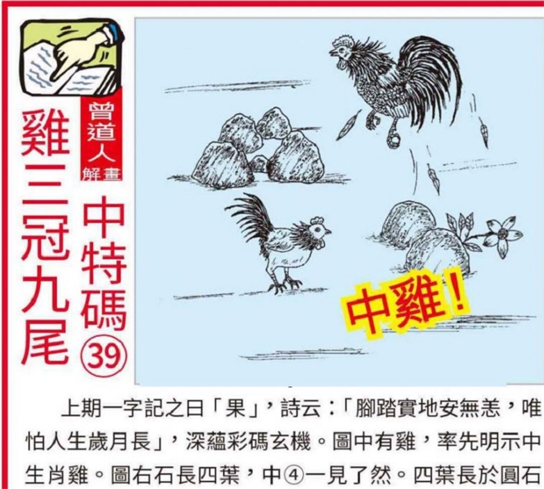 澳門(mén)2025全年資料大全正版資料權(quán)威指南，澳門(mén)2025全年正版權(quán)威指南，全面資料大全與權(quán)威解讀