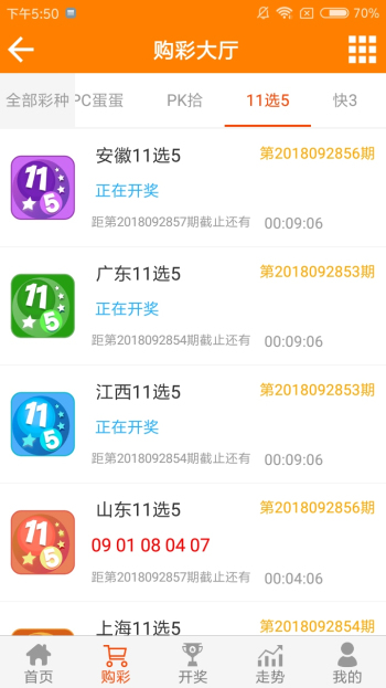 王中王資料一肖一特，深度解析與探索，王中王資料一肖一特，深度解析與探索揭秘