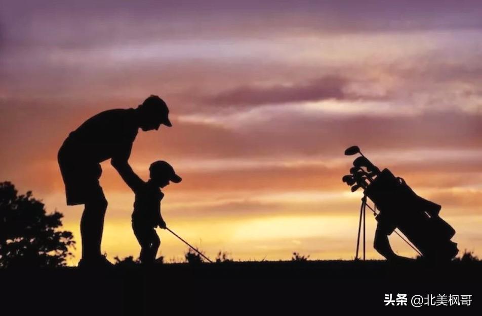 森林高手王中王與神秘生肖——深度解讀背后的故事與秘密，森林高手王中王與神秘生肖，故事背后的深度解讀與秘密探尋