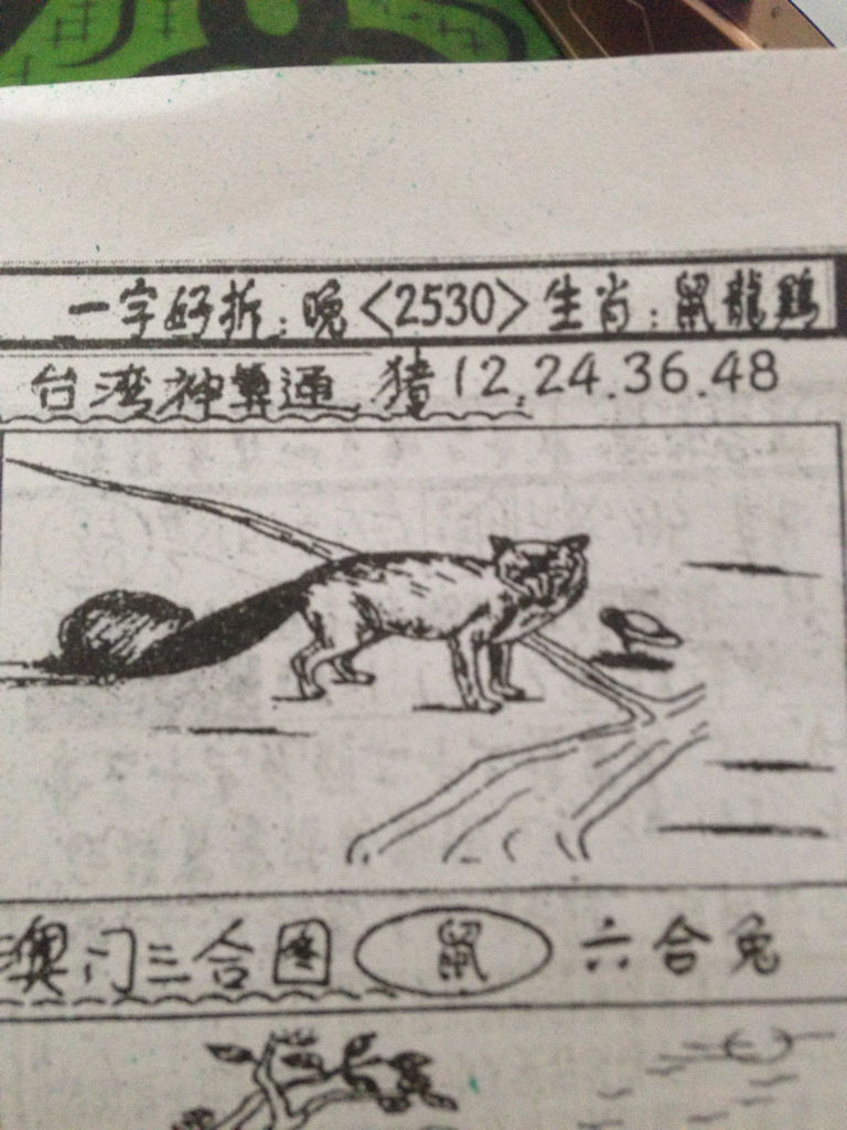 揭秘生肖奧秘，看圖猜一生肖劉伯溫的傳奇故事，揭秘生肖奧秘，劉伯溫傳奇故事中的生肖之謎探索