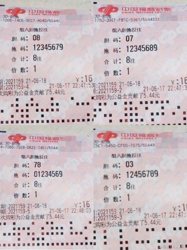 王中王四肖精選一肖新聞，揭秘背后的故事與趨勢(shì)，王中王四肖精選揭秘，背后的故事與趨勢(shì)聚焦一肖新聞