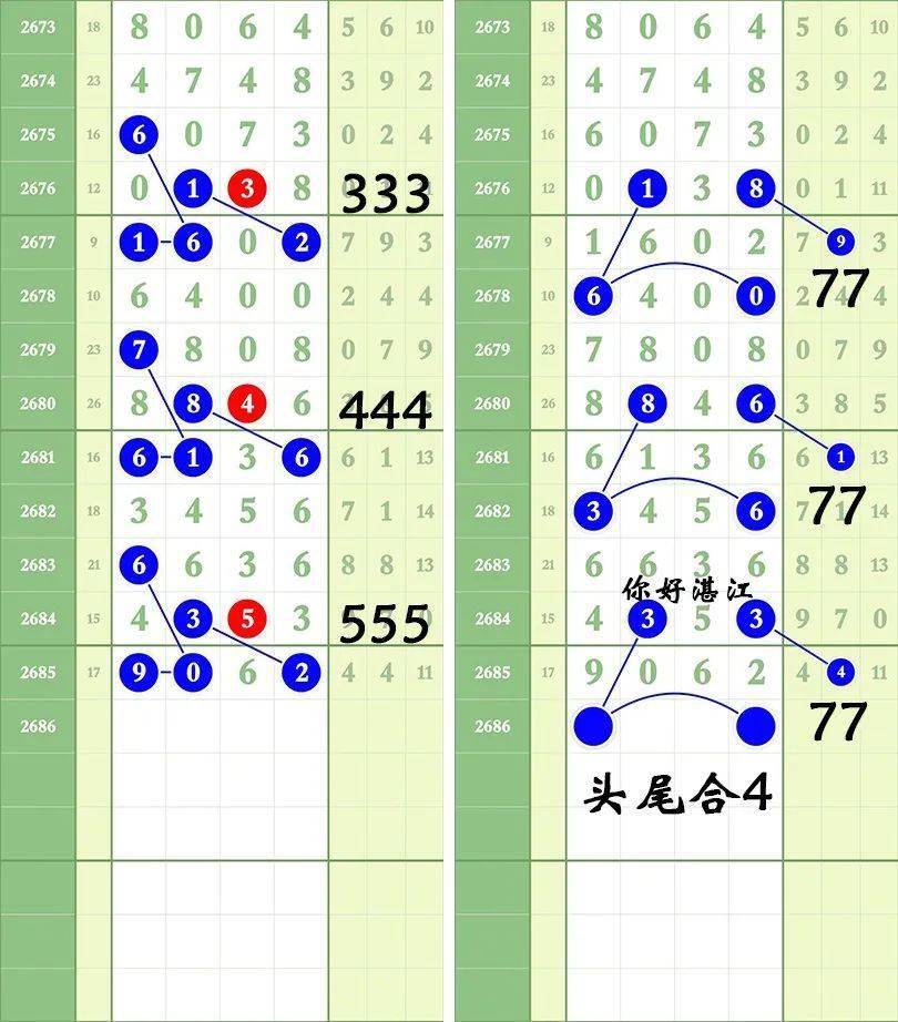 一肖三碼王中王絕密，揭秘背后的秘密與策略洞察，揭秘一肖三碼王中王絕密策略與背后秘密