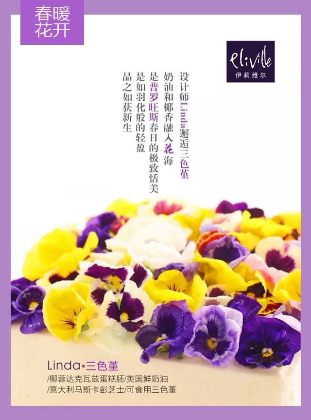 王中王339期指一生肖——探尋背后的秘密與玄機(jī)，探尋王中王339期生肖背后的秘密與玄機(jī)