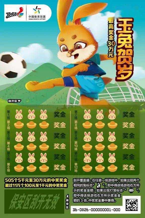 王中王一肖中特兔費(fèi)，探索關(guān)鍵詞背后的奧秘，探索關(guān)鍵詞王中王一肖中特兔費(fèi)背后的奧秘